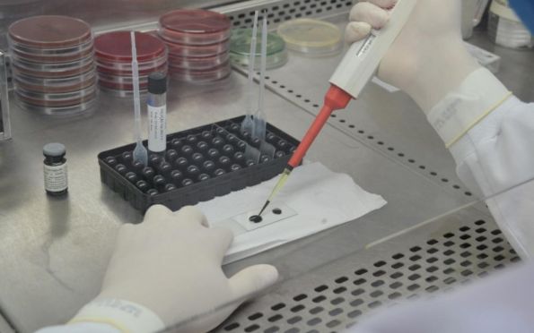 Covid-19: mortes ultrapassam 264 mil e casos chegam a quase 11 milhões