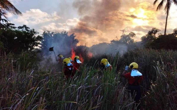 Incêndio atinge vegetação na Zona de Expansão de Aracaju; veja vídeos